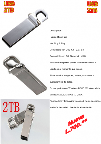 USB de 2TB disponibles  Con garantía y memor - Imagen 1