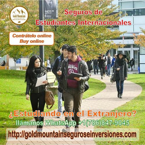 International Students Insurance / Seguro de  - Imagen 1