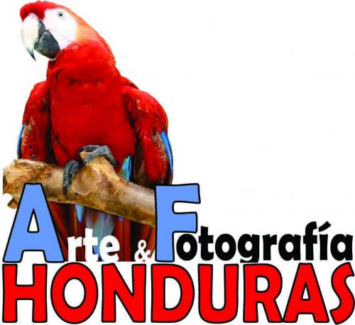 Arte y Fotografía Honduras: inicio del curso - Imagen 1